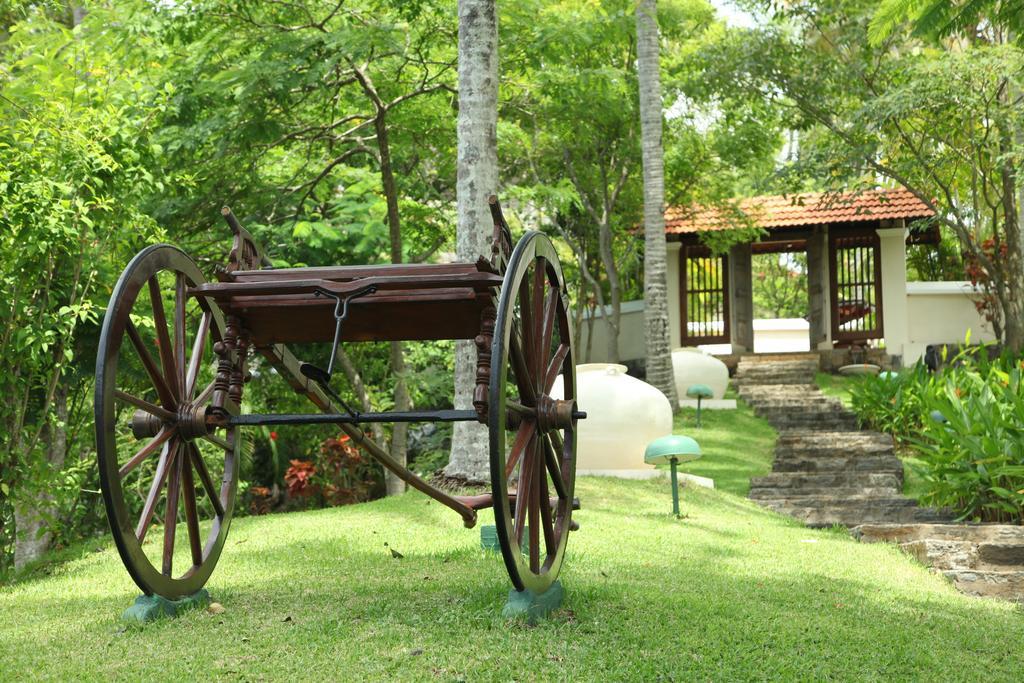 Clingendael Hotel ดิกานา ภายนอก รูปภาพ